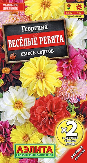 Георгин Веселые ребята 0,6г Ц (Аэлита)