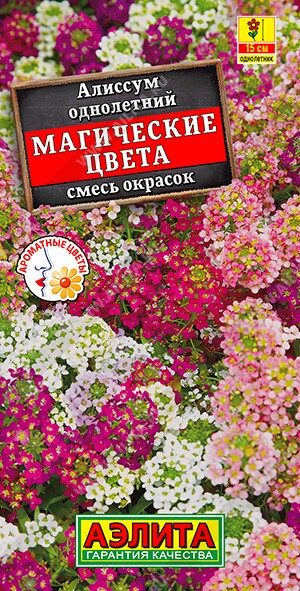 Алиссум Магические цвета однолетний Ц (Аэлита)