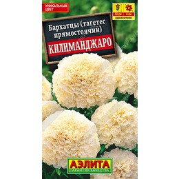 Бархатцы Килиманджаро Ц (Аэлита)