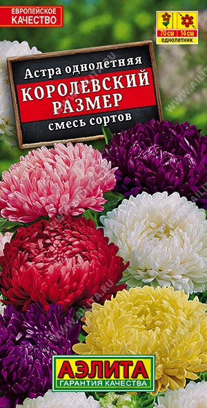 Астра Королевский размер смесь 0,1г.Ц (Аэлита)