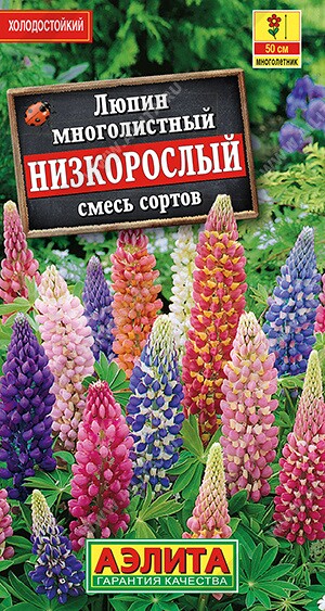 Люпин Низкорослый Ц (Аэлита)