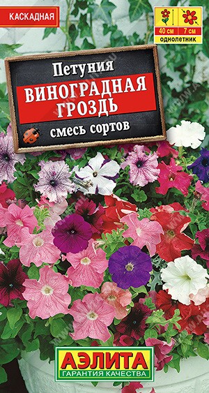 Петуния каскад.Виноградная гроздь Ц (Аэлита)