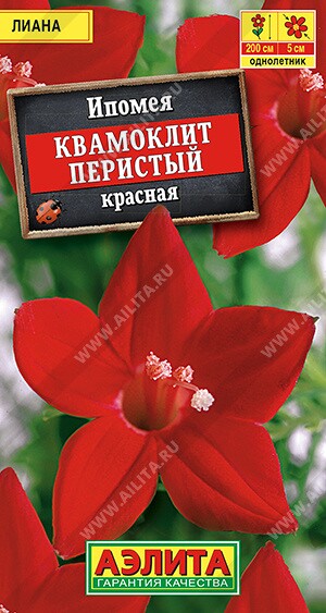 Ипомея Квамоклит красная Ц (Аэлита)