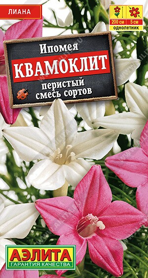 Ипомея Квамоклит смесь Ц (Аэлита)