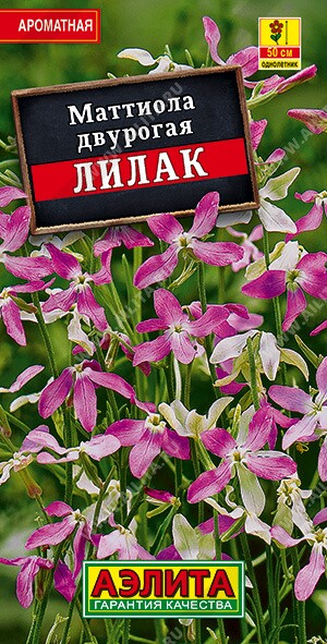 Маттиола Лилак Ц (Аэлита)