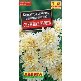 Бархатцы Снежная вьюга Ц (Аэлита)