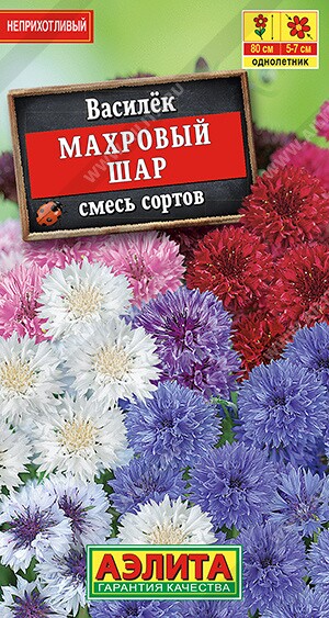 Василек Махровый шар смесь окрасок Ц (Аэлита)