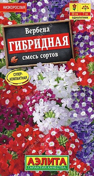 Вербена Гибридная смесь сортов Ц (Аэлита)