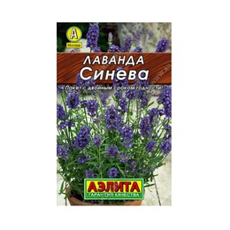 Лаванда Синева Ц (Аэлита)