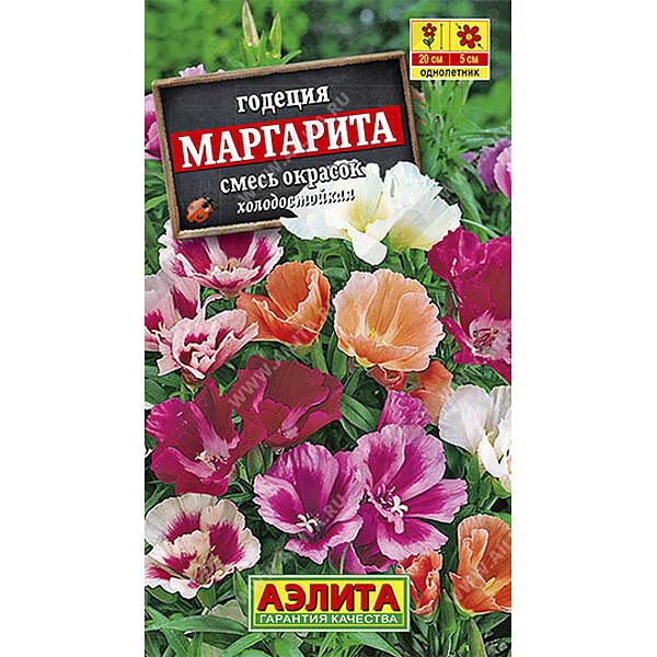 Годеция Маргарита Ц (Аэлита)