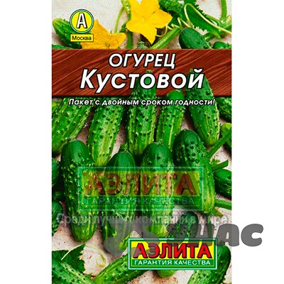 Огурец Кустовой Аэлита Ц Лидер