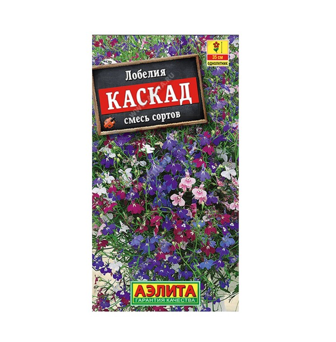 Лобелия Каскад см. Ц (Аэлита)